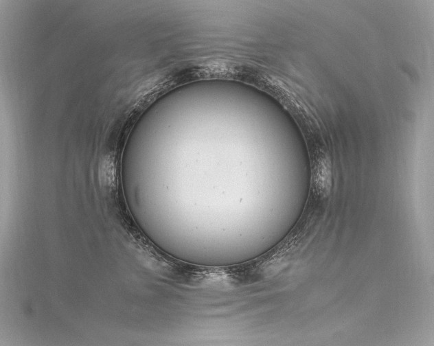 X0000116290715200911301419