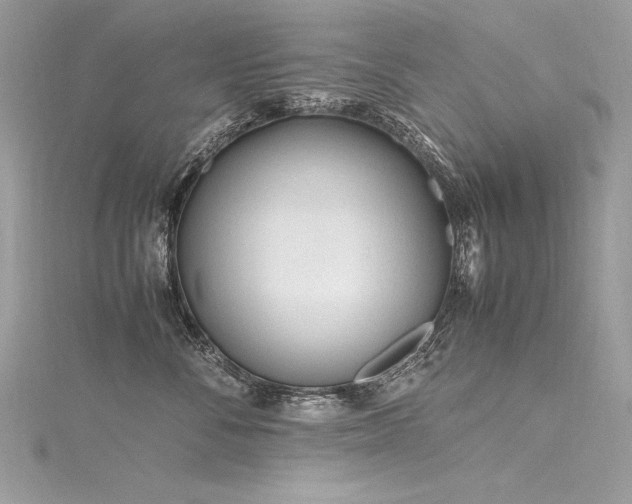 X0000116290716200911301419