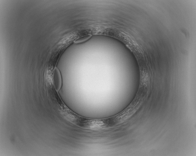 X0000116290719200911301419