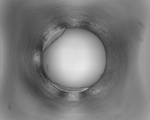 X0000116290720200911301419