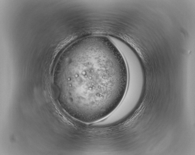 X0000116290721200911301418