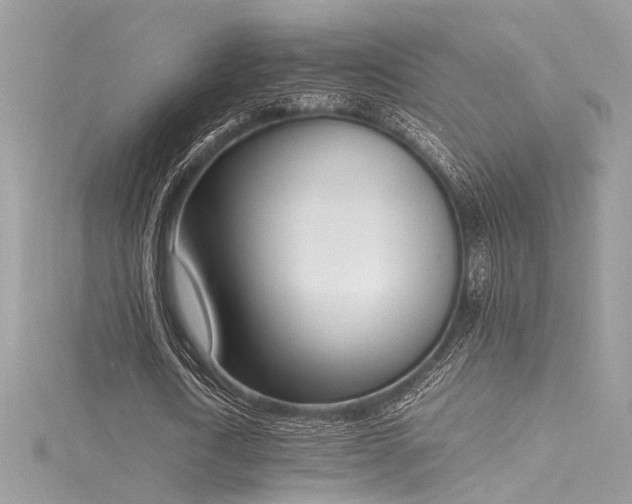 X0000116290722200911301418