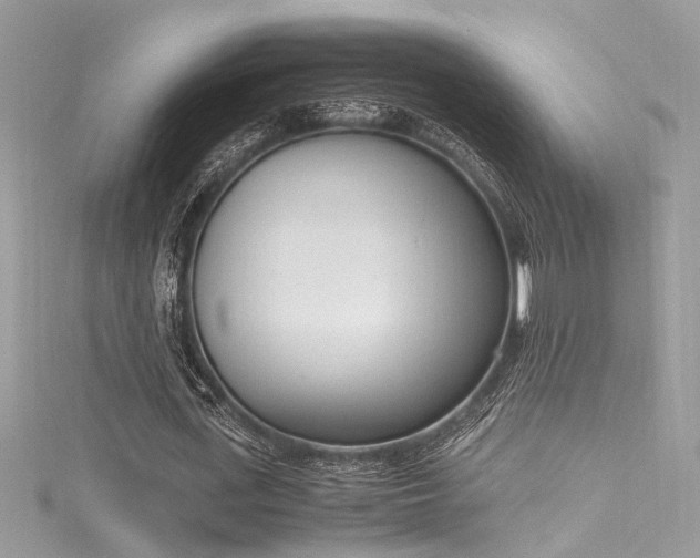 X0000116290723200911301418