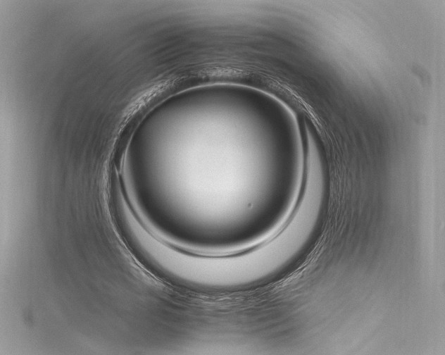 X0000116290725200911301418