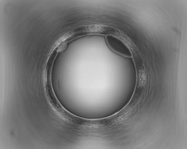 X0000116290726200911301418