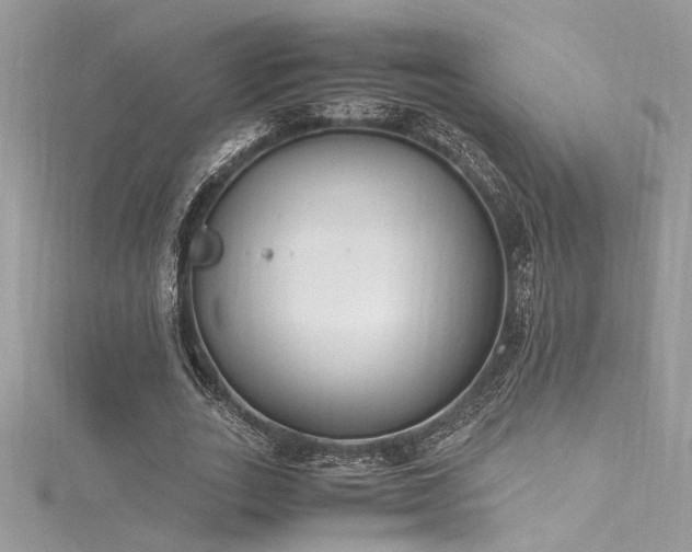 X0000116290727200911301418