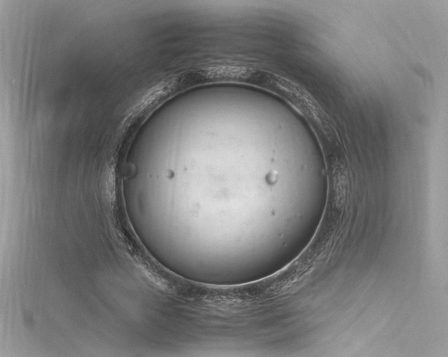 X0000116290729200911301418