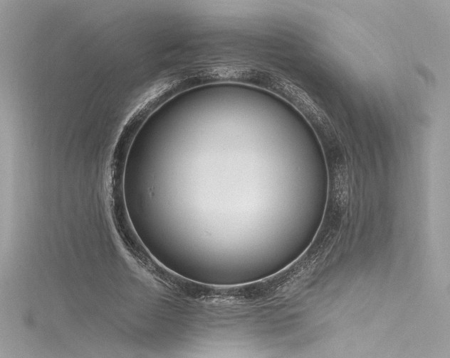 X0000116290730200911301418