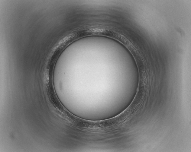 X0000116290731200911301418