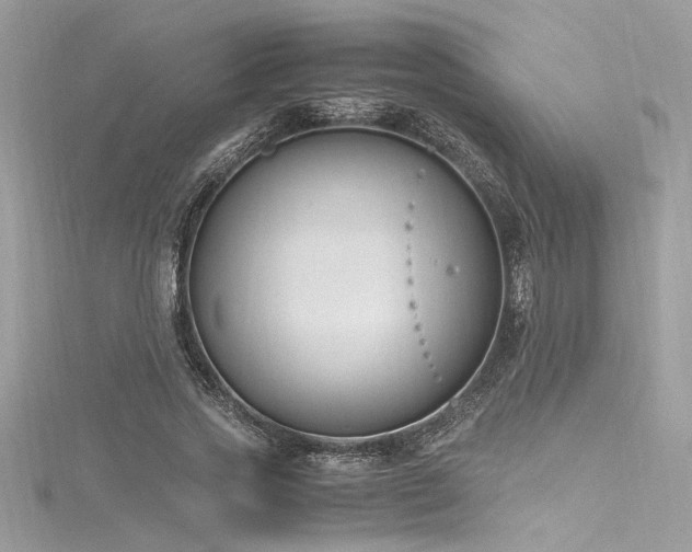 X0000116290733200911301418