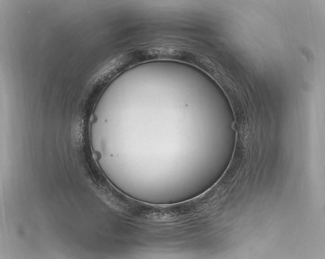 X0000116290735200911301418