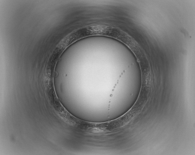 X0000116290737200911301418