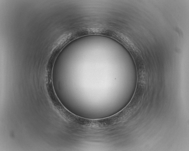 X0000116290738200911301418