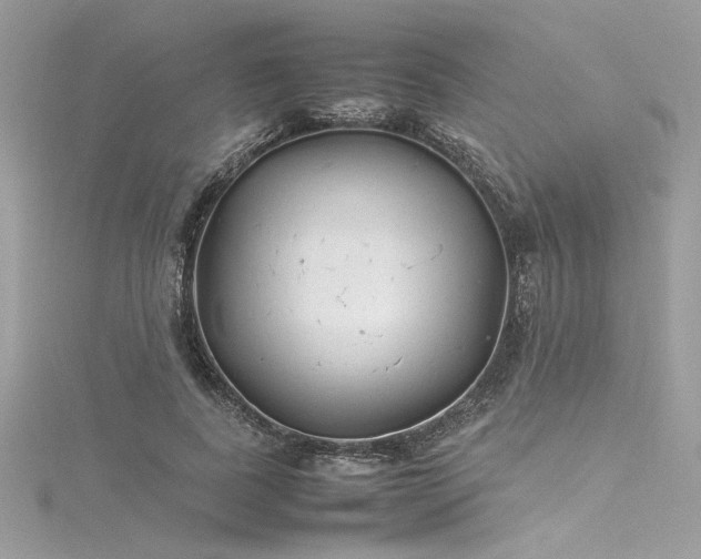 X0000116290739200911301418