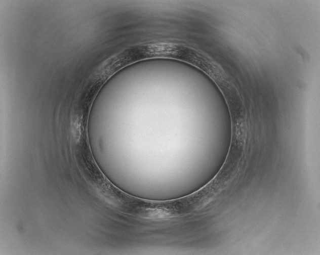 X0000116290741200911301418