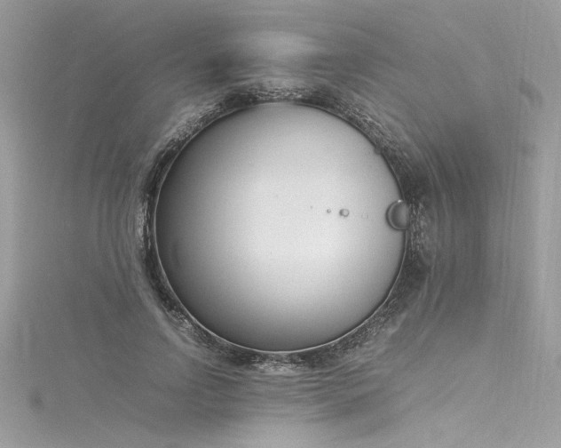 X0000116290742200911301418