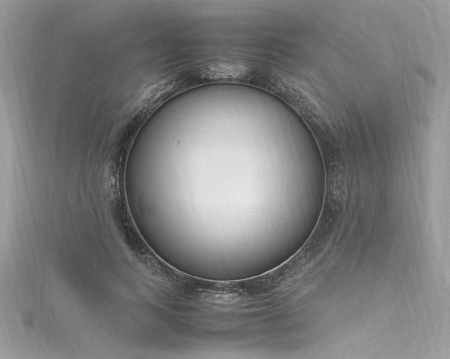 X0000116290743200911301418