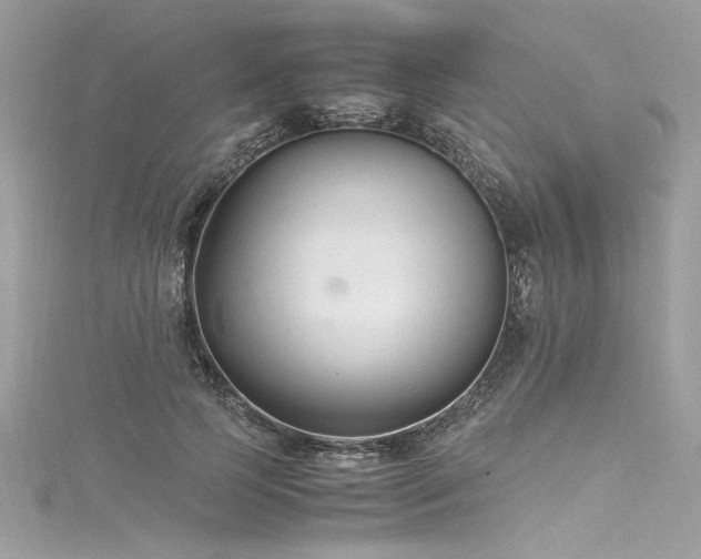 X0000116290745200911301418