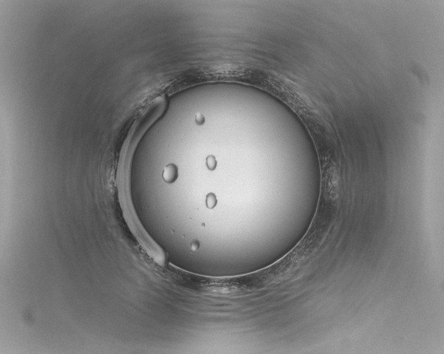 X0000116290746200911301418