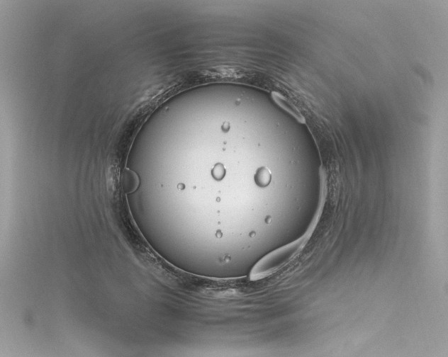 X0000116290747200911301418