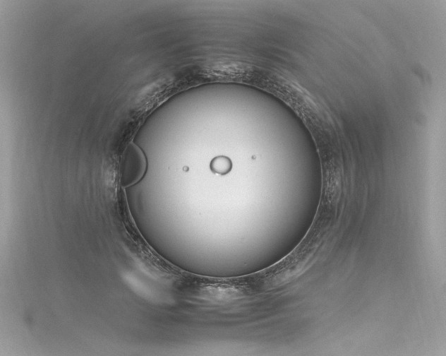 X0000116290749200911301418