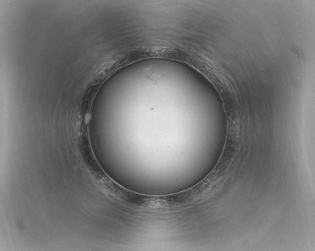 X0000116290750200911301418