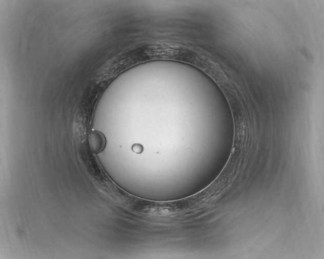 X0000116290751200911301418