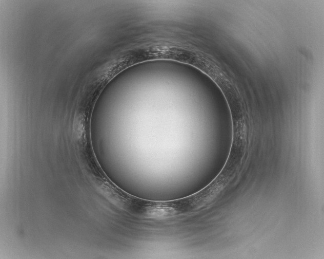 X0000116290754200911301418