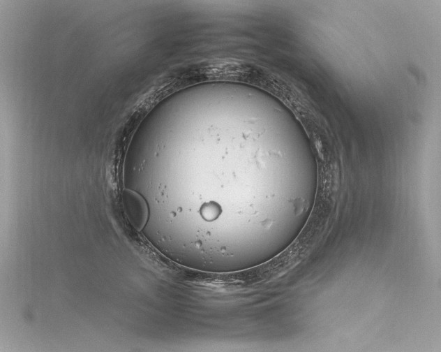 X0000116290755200911301418