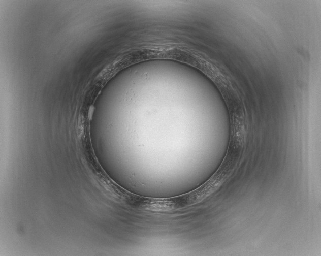 X0000116290758200911301418