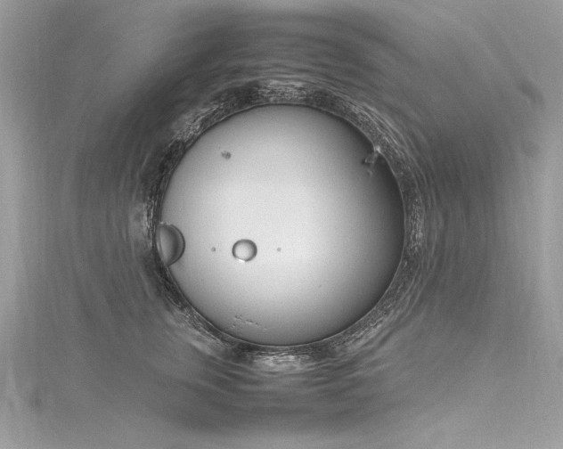 X0000116290759200911301418