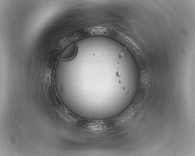 X0000116290761200911301418