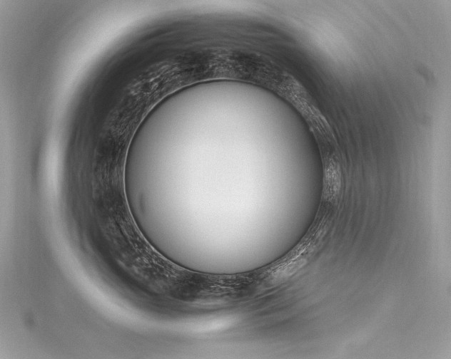 X0000116290765200911301419