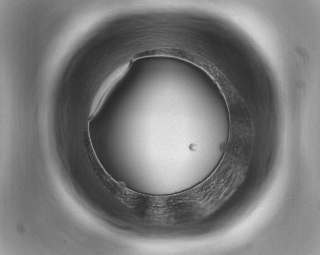 X0000116290766200911301419