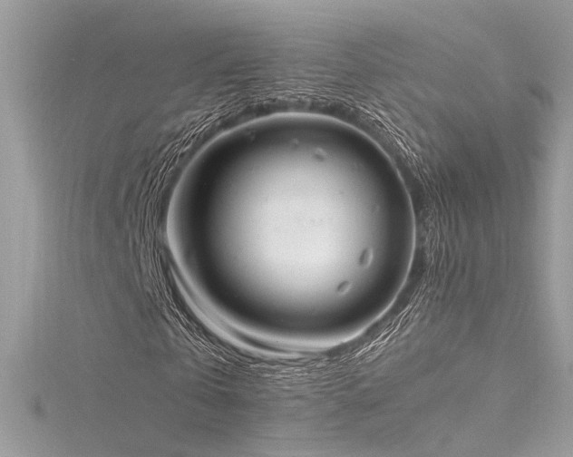 X0000116290769200911301418