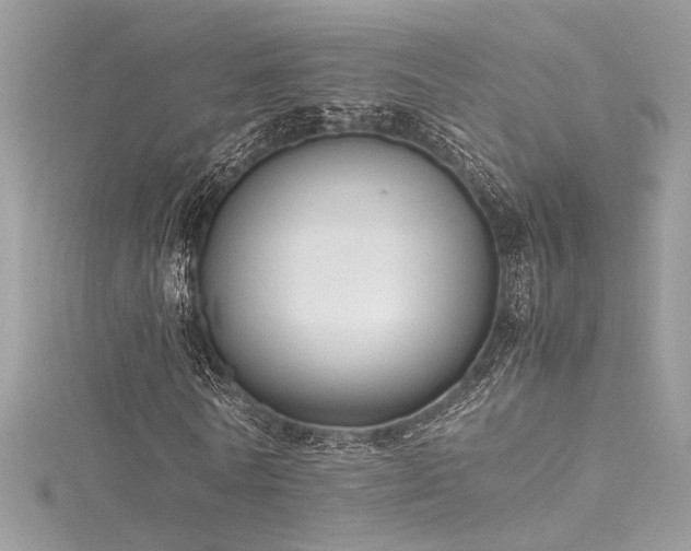 X0000116290770200911301418