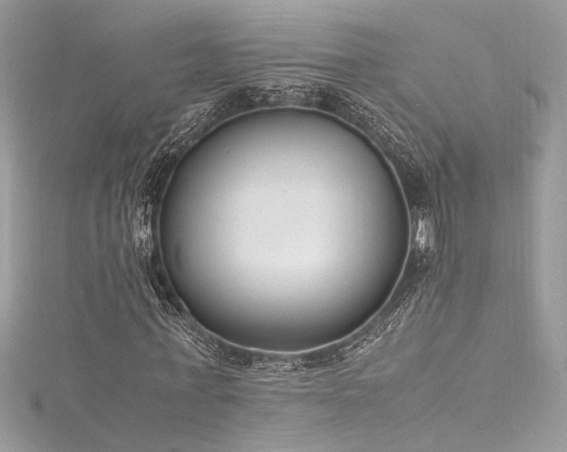 X0000116290771200911301418