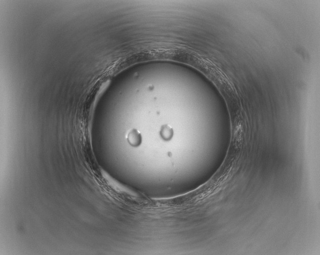 X0000116290772200911301418