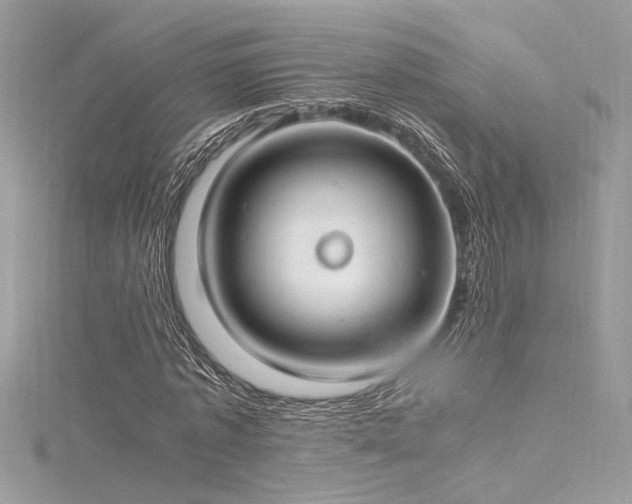 X0000116290773200911301418