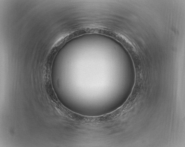 X0000116290775200911301418