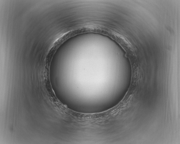 X0000116290776200911301418