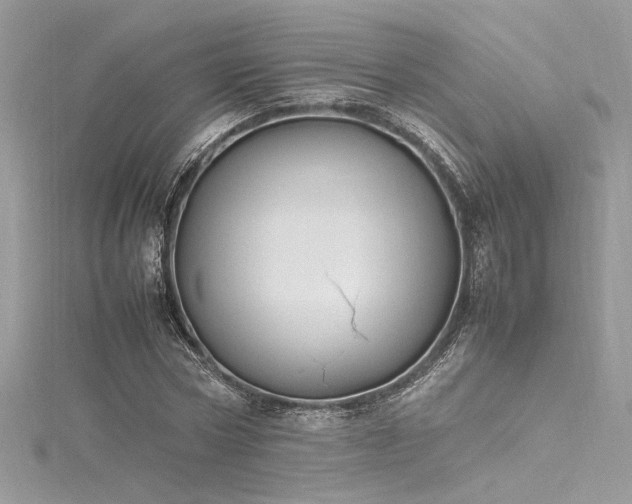 X0000116290778200911301418