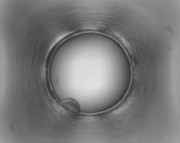 X0000116290779200911301418