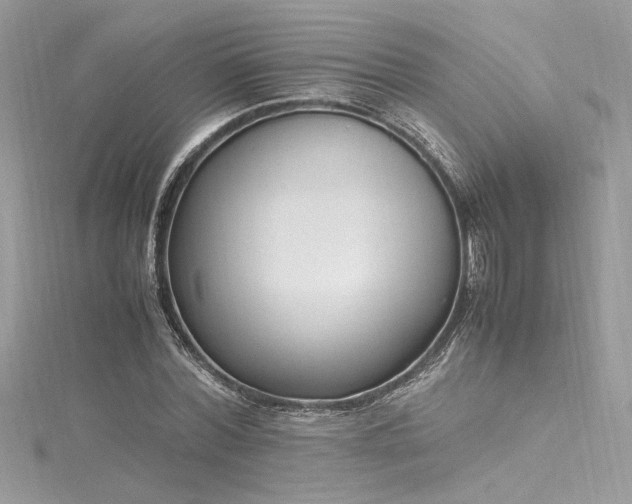 X0000116290780200911301418