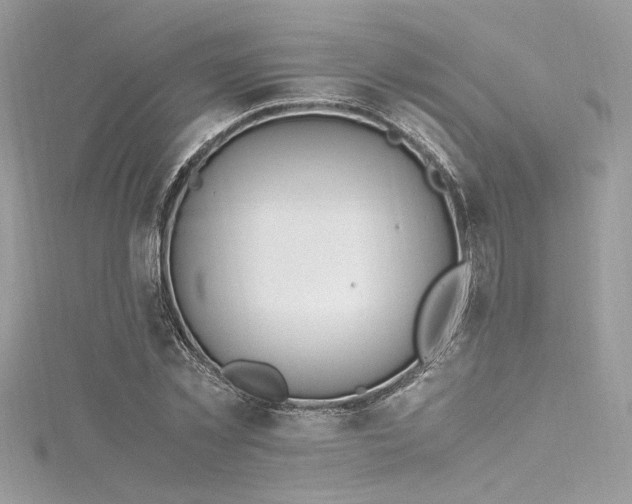 X0000116290781200911301418