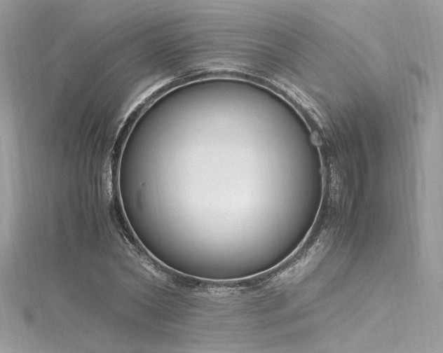 X0000116290782200911301418