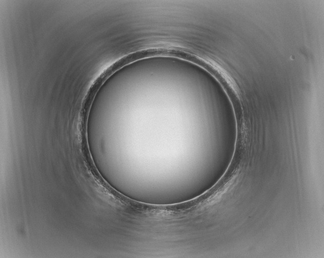 X0000116290783200911301418