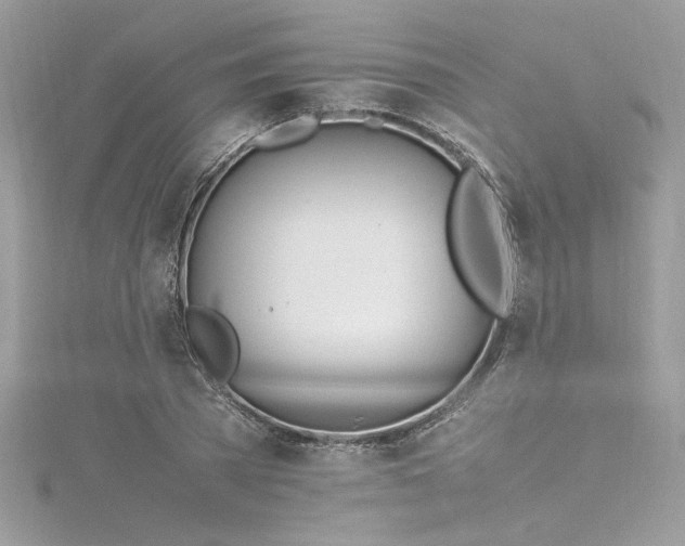 X0000116290785200911301418