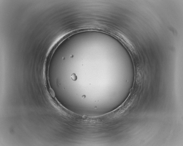 X0000116290788200911301418