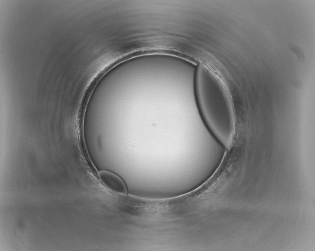 X0000116290789200911301418